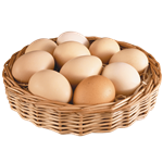 Telur Ayam Negeri